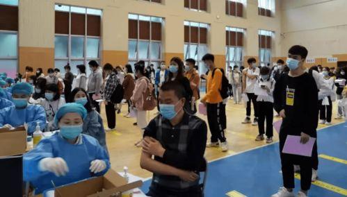 大林子最新爆料消息视频,独家内幕大公开！